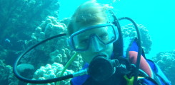Diving center PADI “OCEAN”