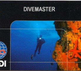 Professional course “Divemaster”