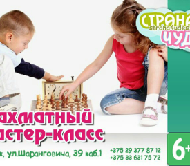 Master class “Acquaintance with the chess kingdom”