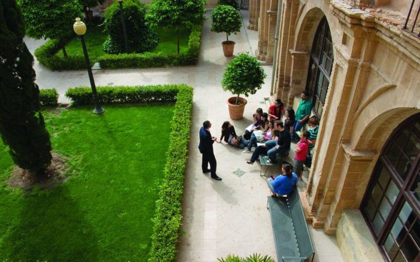 Высшее образование в университете UCAM (Мурсия)