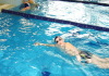 Школа плавания "Swimschool" 