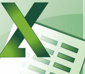 Individual Microsoft Excel 2013 course