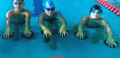 Swimming school “MySwimming”