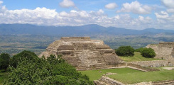 COINED (Oaxaca)