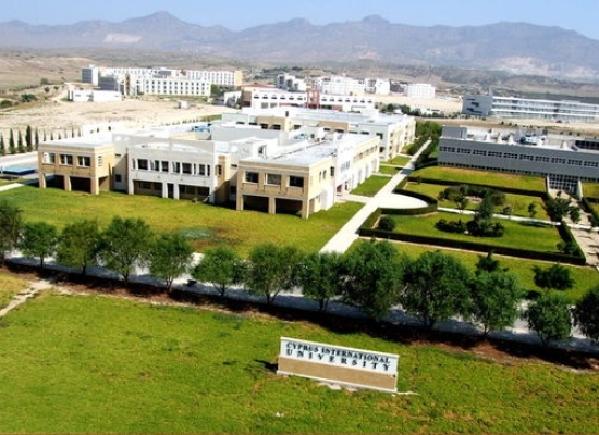 Летняя академия в Cyprus International University