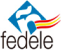 FEDELE (Federación Española de Asociaciones de Escuelas de Español para Extranjeros)